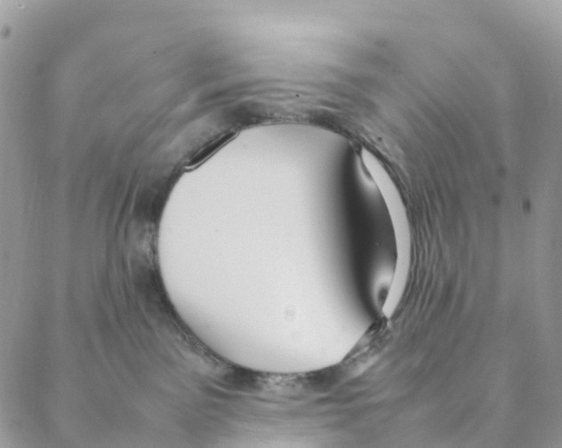 X0000088210141200706121814