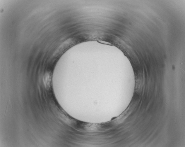 X0000088210142200706121814