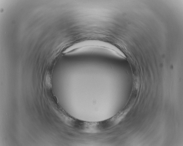 X0000088210143200706121814