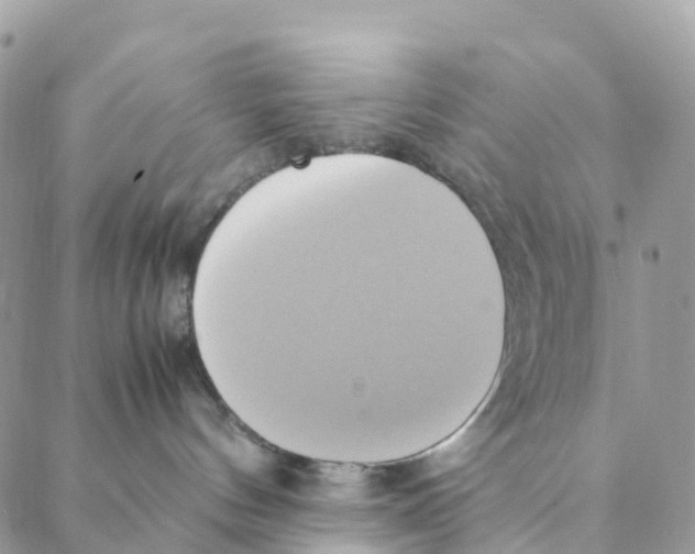 X0000088210144200706121814