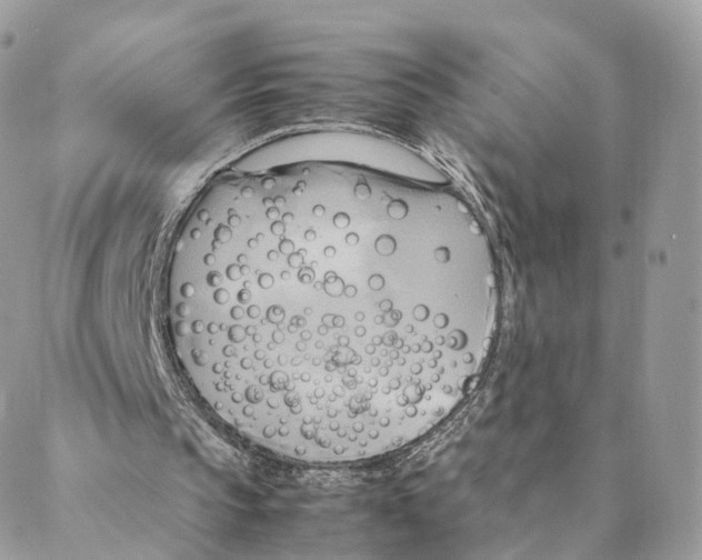 X0000088210145200706121814