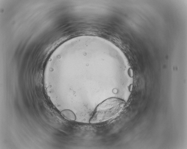 X0000088210146200706121814