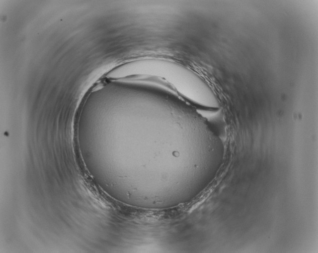 X0000088210148200706121814