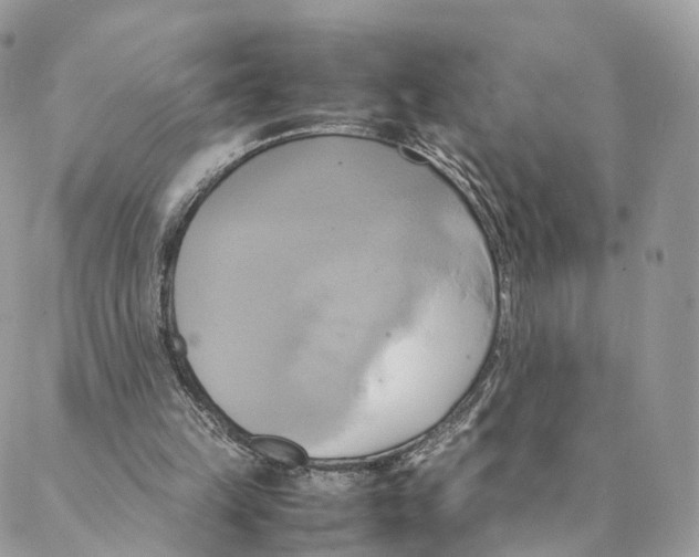 X0000088210149200706121814