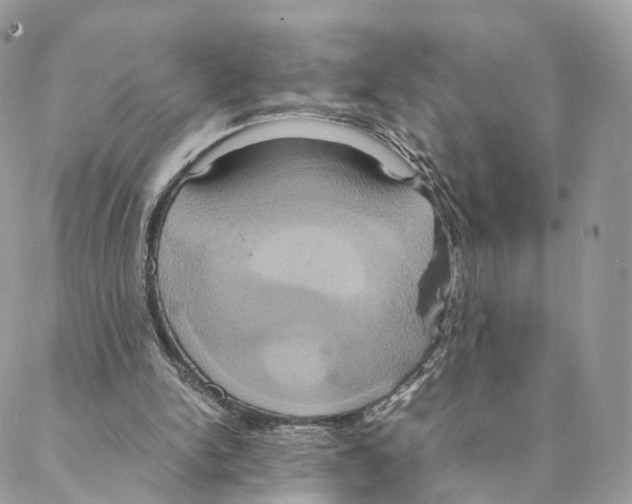 X0000088210150200706121814