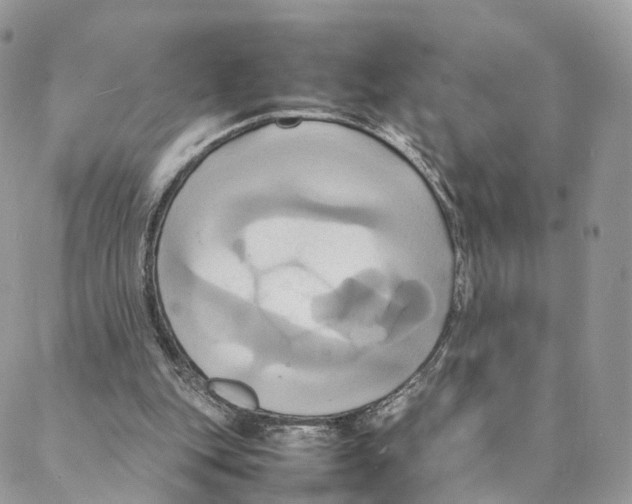 X0000088210151200706121814