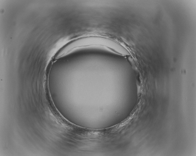 X0000088210152200706121814