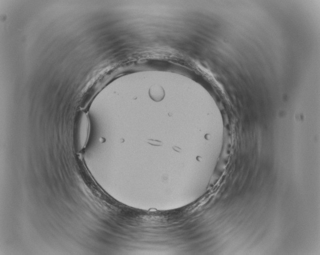 X0000088210154200706121814