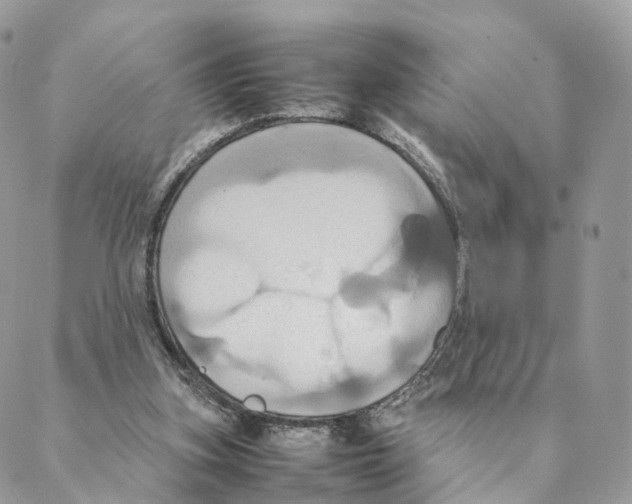 X0000088210155200706121814