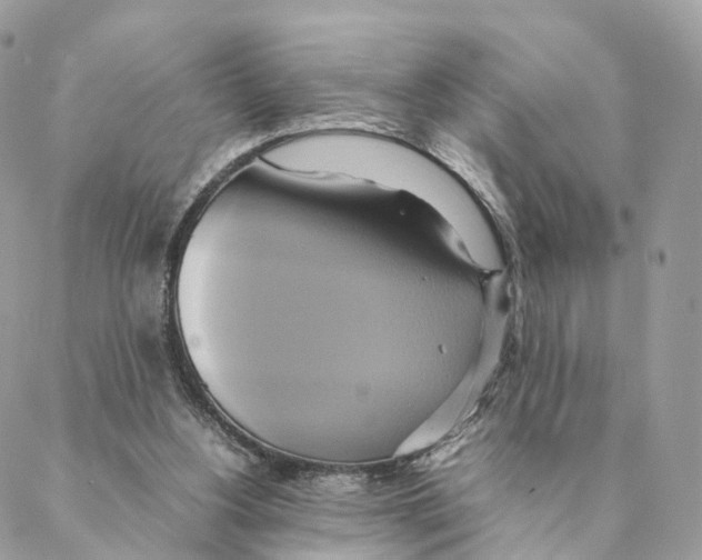 X0000088210156200706121814