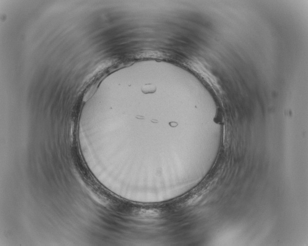 X0000088210157200706121814