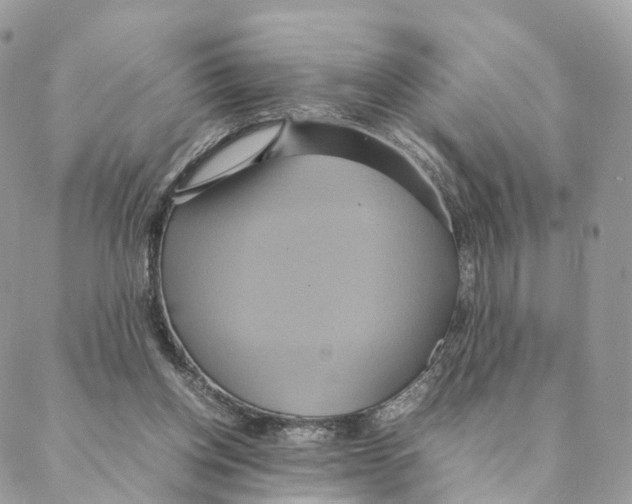 X0000088210158200706121814