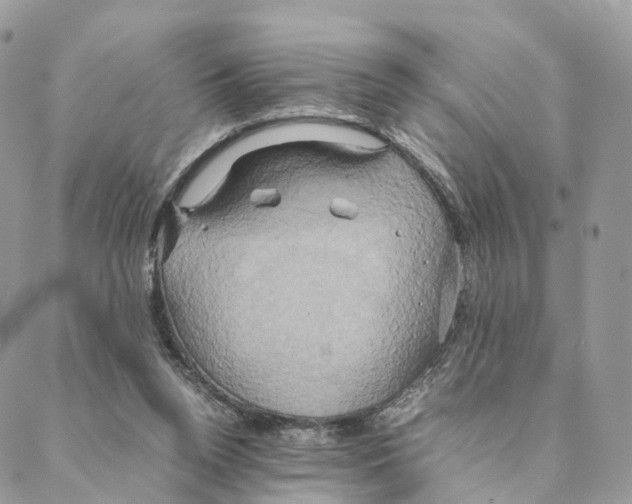 X0000088210160200706121814