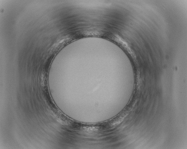 X0000088210161200706121814