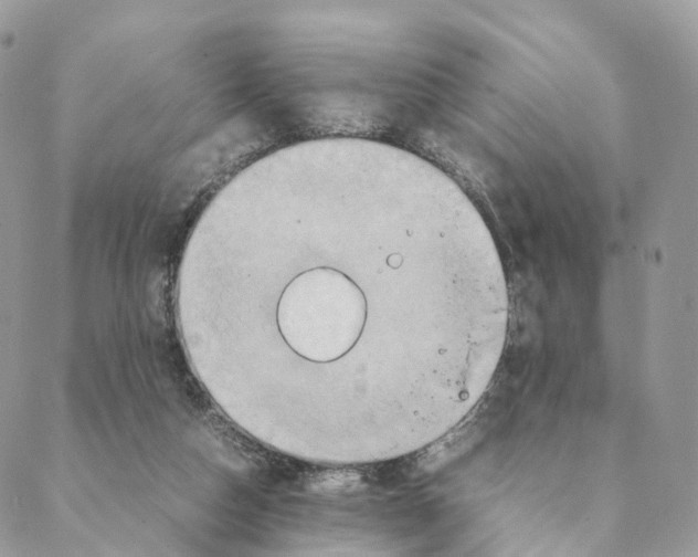 X0000088210162200706121814