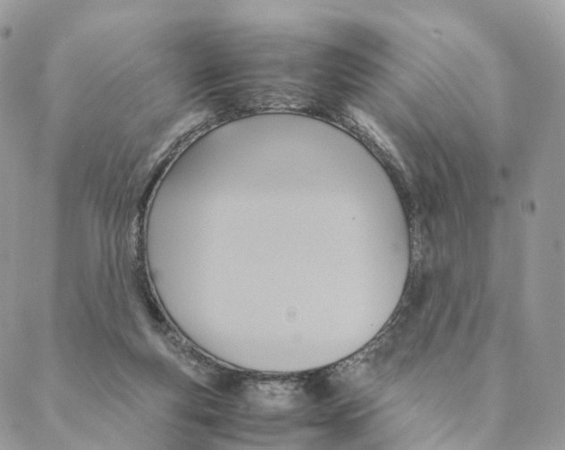 X0000088210163200706121814