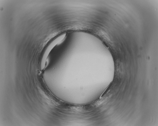 X0000088210164200706121814