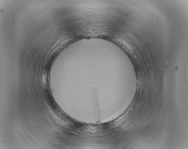 X0000088210166200706121814