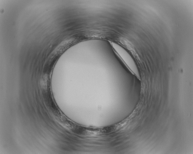 X0000088210167200706121814