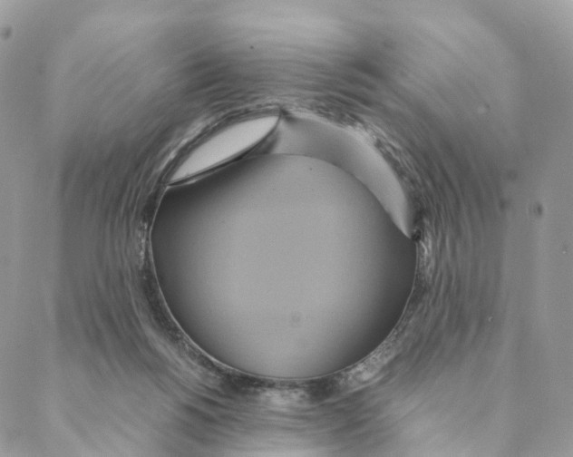 X0000088210168200706121814