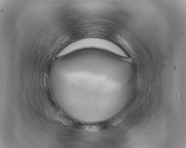 X0000088210169200706121814