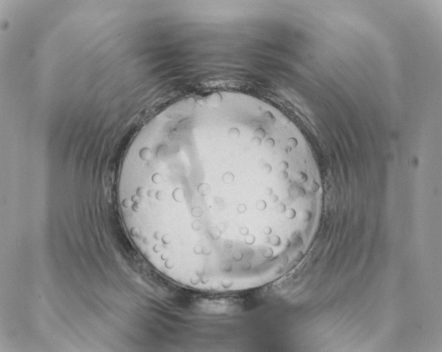 X0000088210171200706121814