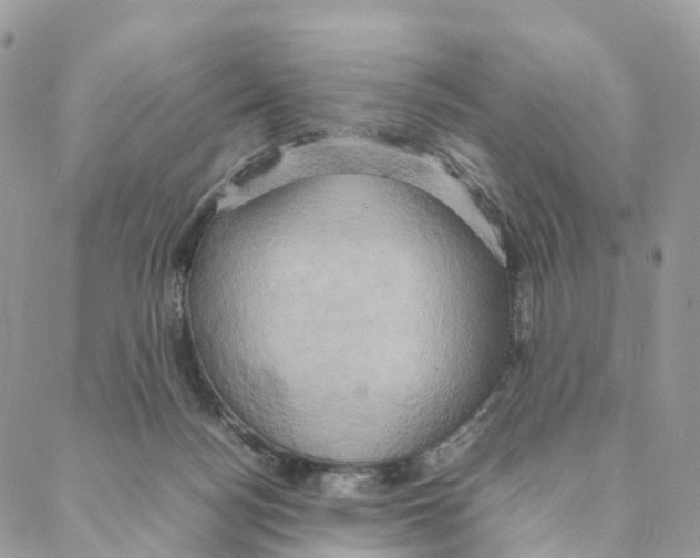 X0000088210172200706121814