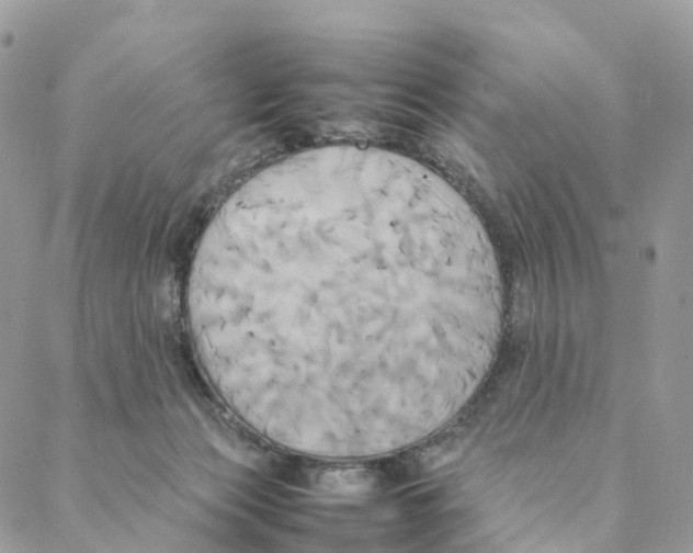 X0000088210173200706121814