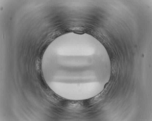 X0000088210175200706121814