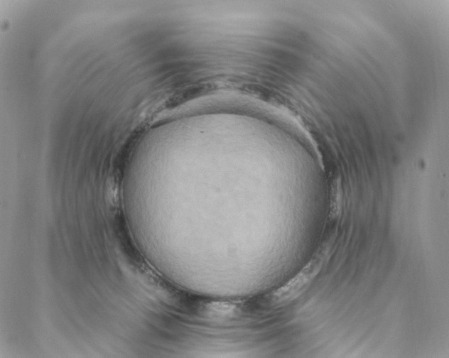 X0000088210176200706121814