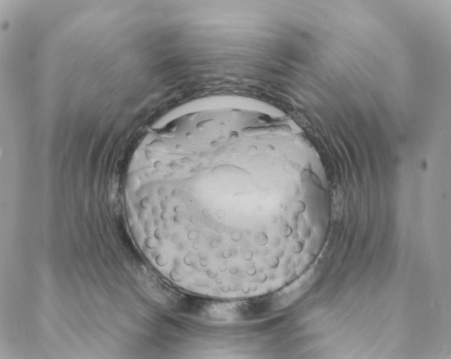 X0000088210178200706121814