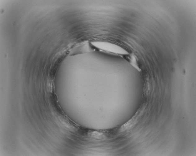 X0000088210180200706121814