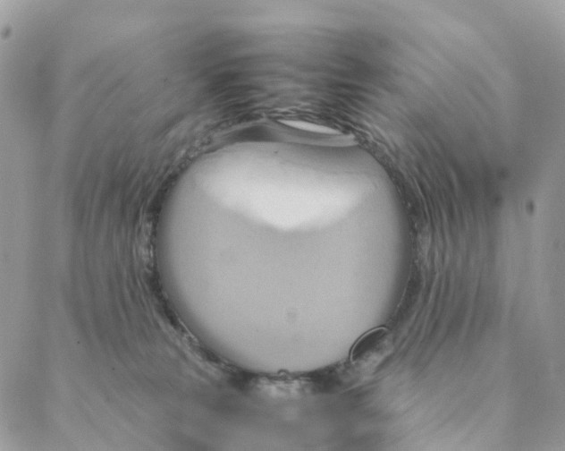 X0000088210181200706121814