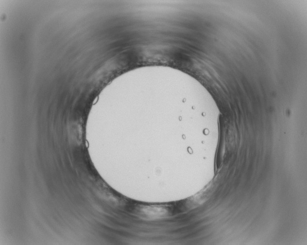 X0000088210183200706121814