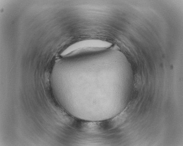 X0000088210184200706121814