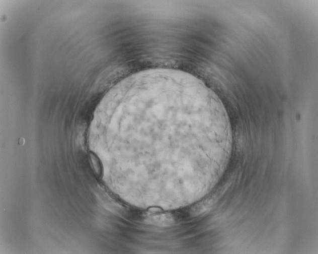 X0000088210185200706121814