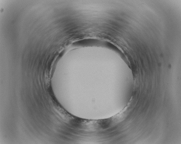 X0000088210186200706121814