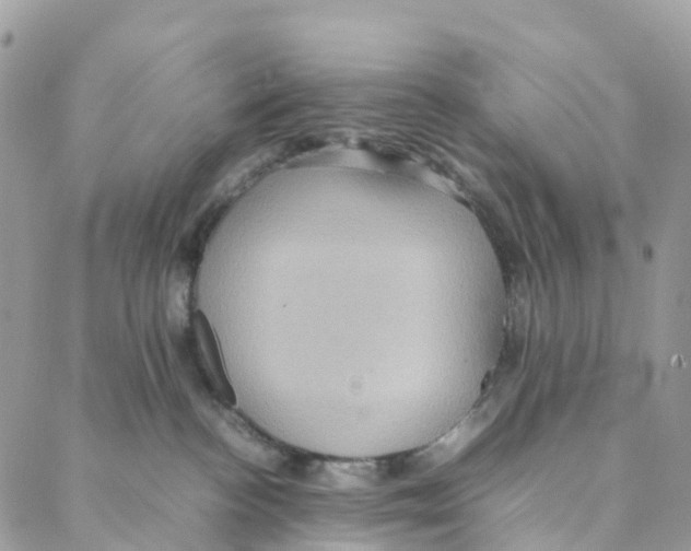 X0000088210188200706121814