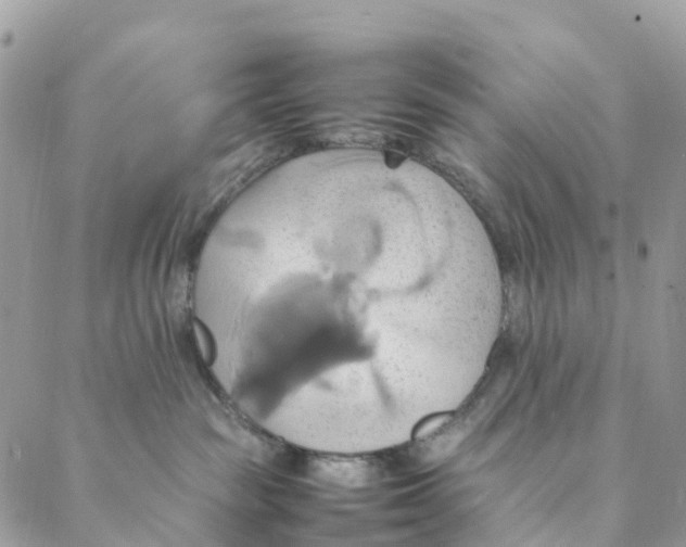 X0000088210189200706121814