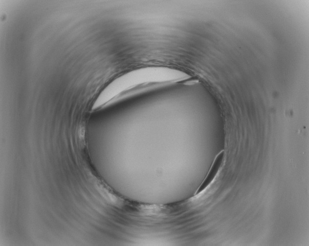 X0000088210192200706121814