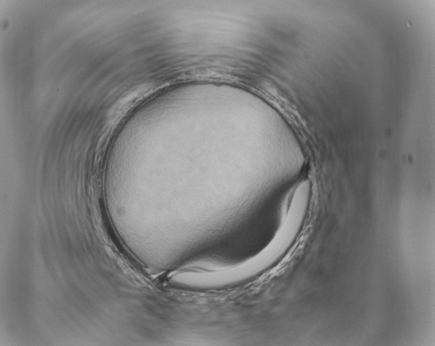 X0000088210193200706121814