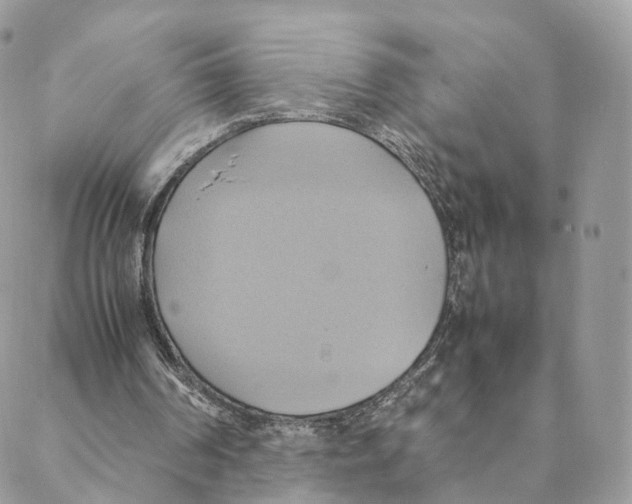 X0000088210194200706121814