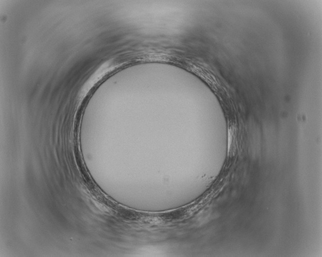 X0000088210195200706121814