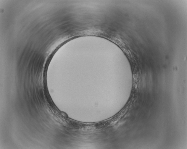 X0000088210196200706121814