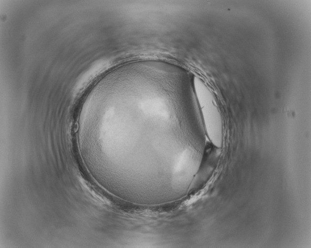 X0000088210197200706121814