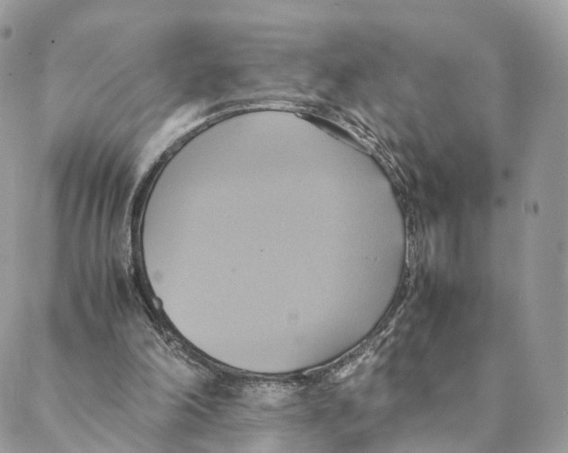 X0000088210198200706121814