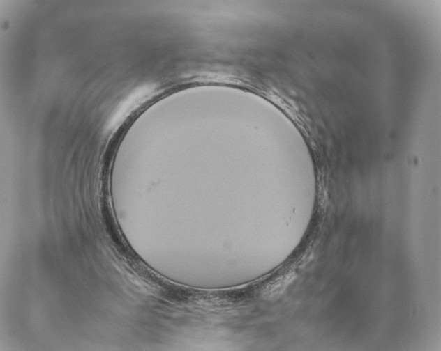 X0000088210199200706121814