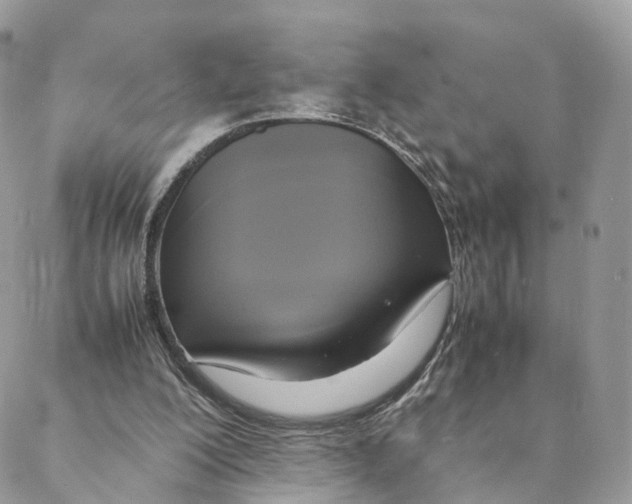 X0000088210200200706121814