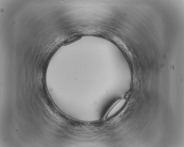 X0000088210201200706121814