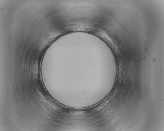 X0000088210202200706121814